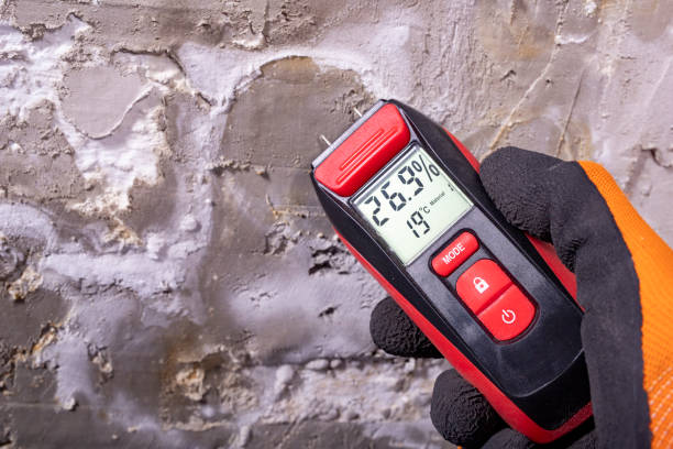 Best Industrial Mold Remediation in Fremont, MI