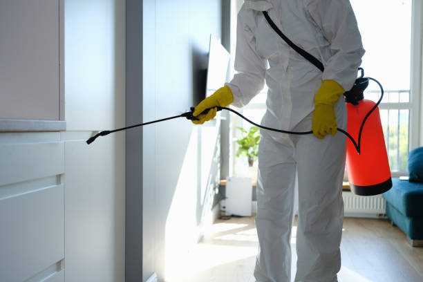 Best Residential Mold Remediation in Fremont, MI